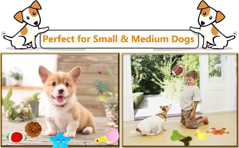 10 Pack Highly-Durable Cute Dog Squeaky Toys for Small/Medium Dogs