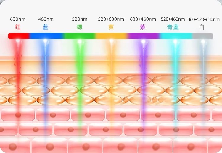 7 Color LED Face Mask with Neck Red Light Therapy for Anti-Aging and Wrinkles