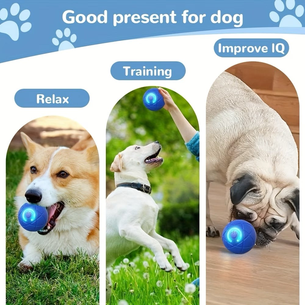 2 for 1 Interactive Dog & Cat Toy Ball