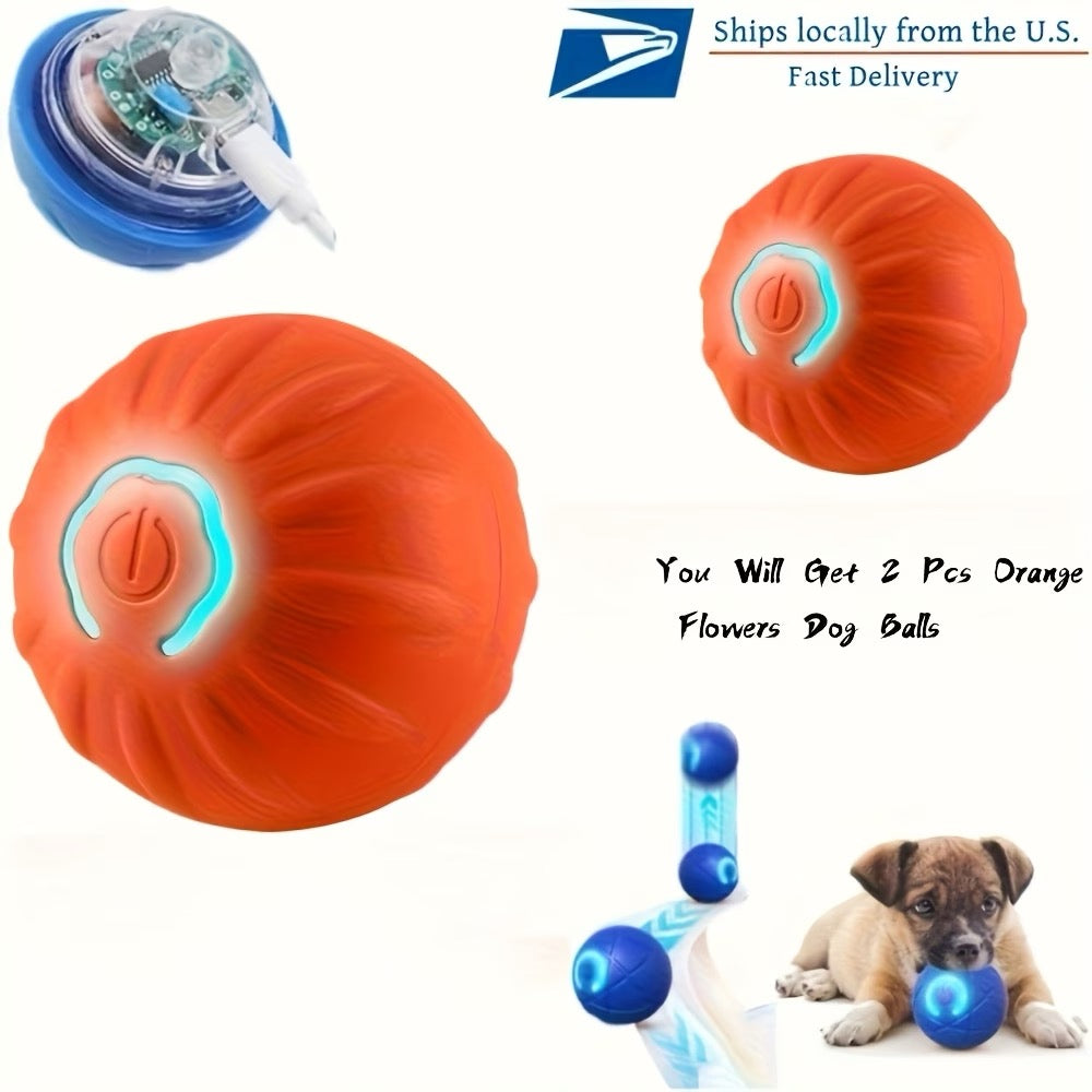2 for 1 Interactive Dog & Cat Toy Ball