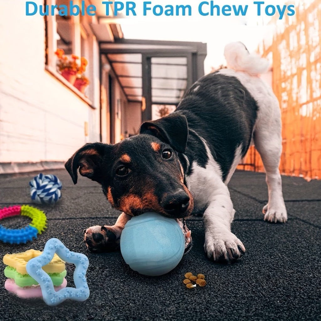 Collection of Assorted Puppy Toys Designed for Teething, Play, And Engagement